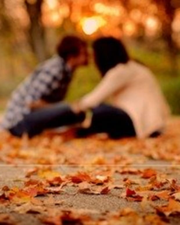 Zakochani wśród liści